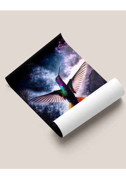 Çerçevesiz Poster Sinek Kuşu "coco" fiyatları