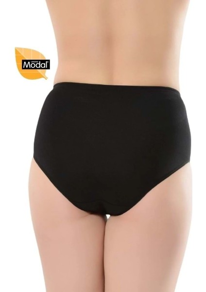 4 Adet 069 Kadın Yüksek Bel Modal Külot