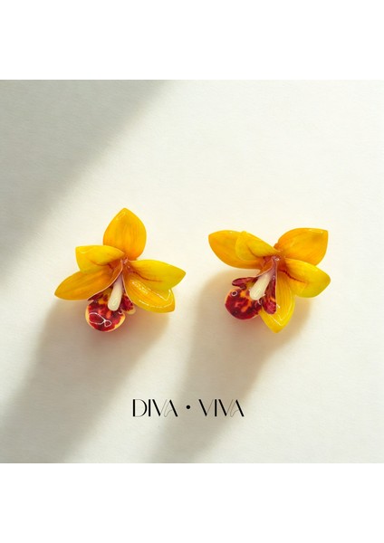 - Orchidée Kadın Küpe modelleri