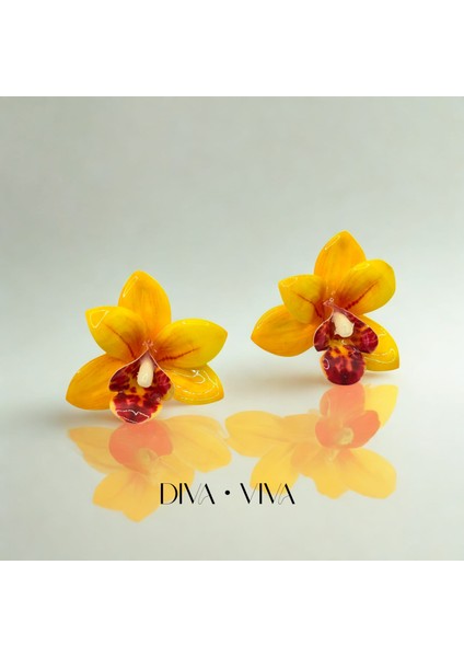 - Orchidée Kadın Küpe fırsatları