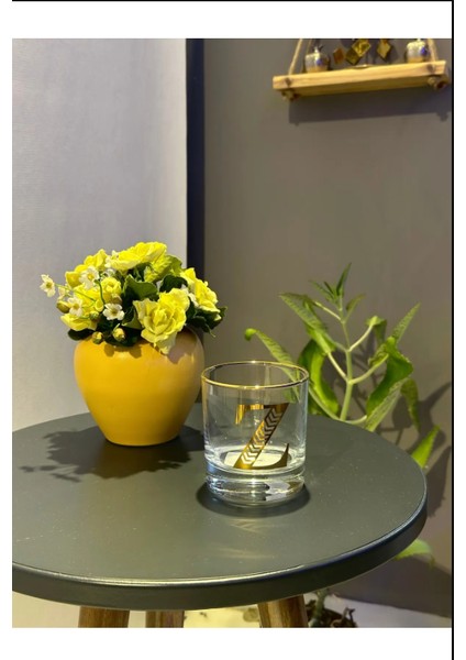 Md Monogram Cam Bardak Z fiyatları