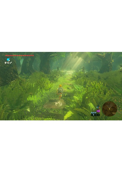 The Legend Of Zelda Breath Of The Wild Nintendo Switch 2