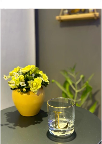 Md Monogram Cam Bardak L