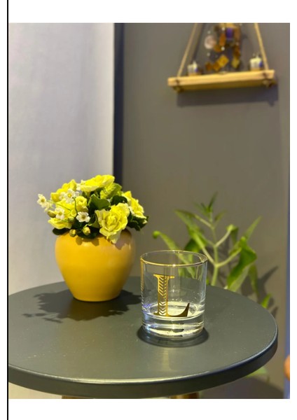 Md Monogram Cam Bardak L fiyatları