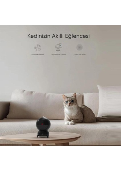 Siyah Akıllı Lazer Kedi Oyuncağı, Eğlenceli ve Interaktif Evcil Hayvan Oyunu modelleri