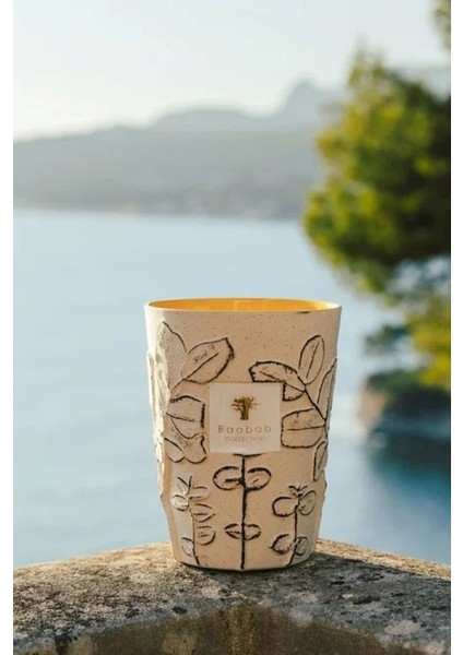 Max 24 Folia Calanque Kokulu Mum, Okaliptüs Motifli Beyaz Seramik, Bergamot & Yeşil Çay Kokusu fiyatları