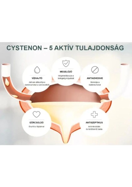 Cystenon Idırarın Normallleşmesine Ağrılarınıza Yardımcı Takviye 15'li