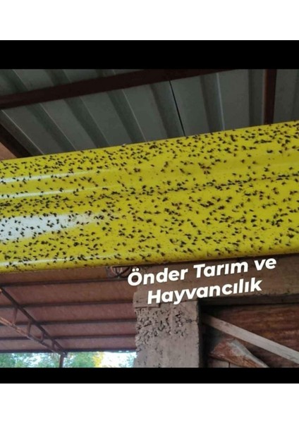 Karasinek Tuzağı Yapışkanlı Bant 15CM*100 mt