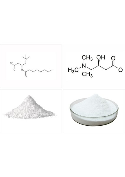 Acetyl L-Carnitine 50 GR