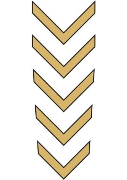 Agk Cg Gold Çamurluk Üst Sticker
