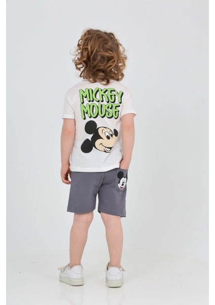 Erkek Çocuk Mickey Mouse Baskılı Beyaz Pamuklu Alt Üst Takım Yarım Kollu 2'li Şort T-Shirt Takım 3-8 Yaş fiyatları