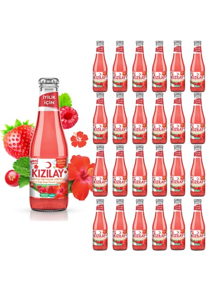 Maden Suyu Doğal Kırmızı Meyveler Hibiskus Aromalı 200 ml x 24 Adet