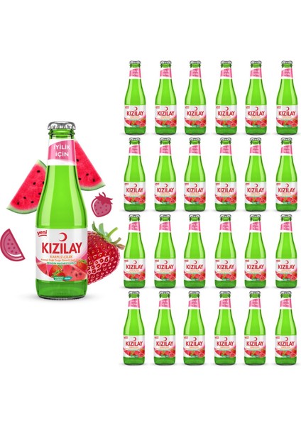 Maden Suyu Doğal Karpuz Çilek Aromalı 200 ml x 24 Adet