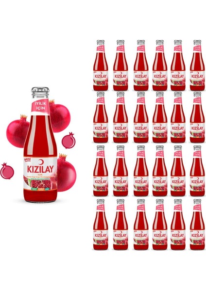 Maden Suyu Doğal Nar Aromalı 200 ml x 24 Adet