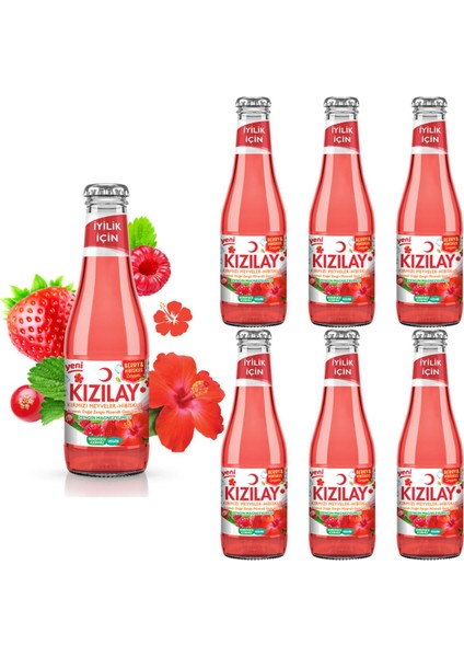 Maden Suyu Doğal Kırmızı Meyveler Hibiskus Aromalı 200 ml x 6 Adet