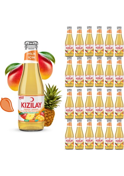 Maden Suyu Doğal Mango Ananas Aromalı 200 ml x 24 Adet