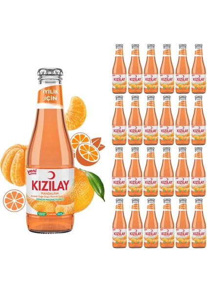 Mandalina Aromalı Maden Suyu 24 Adet 200 ml