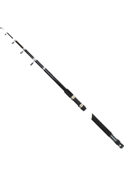 1700 Picasso Teleskopik Kamış 70-150GR Atar 300 cm