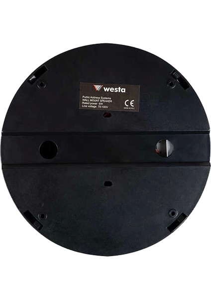 Westa WS-1119TB 13 cm Sıva Üstü Siyah Tavan Hoparlör