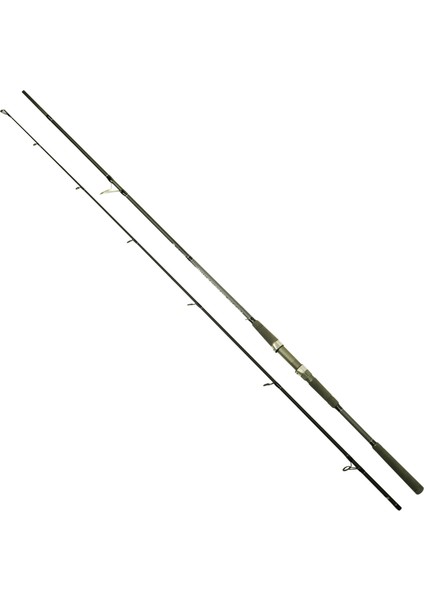 1465 Assai Spin 2 Parça Shore Jig Kamışı 30-125GR Atar 290 cm