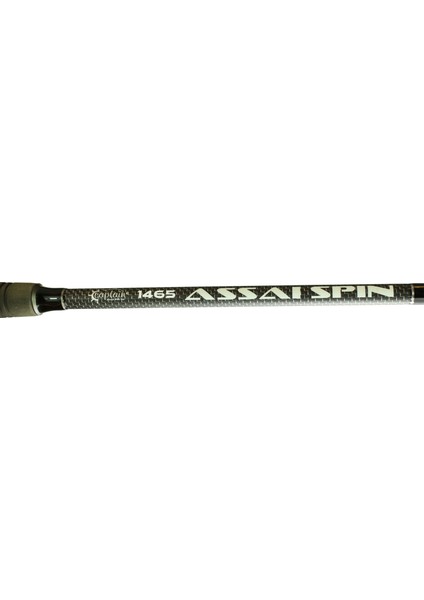 1465 Assai Spin 2 Parça Shore Jig Kamışı 30-125GR Atar 290 cm