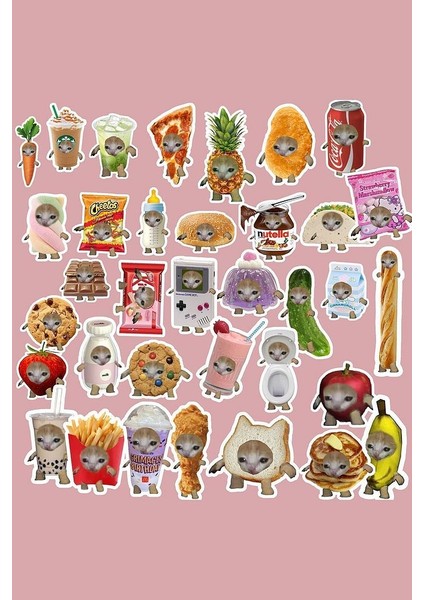 Şapşal Kedi Komik Kedi Sticker Paketi /bullet Journal Defter Çıkartma Ajanda Laptop Etiket