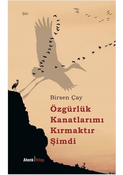 Özgürlük Kanatlarımı Kırmaktır Şimdi