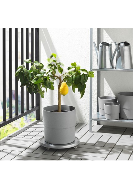 Plastik Saksı, Gri, 24 cm
