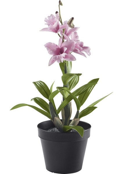 Yapay Bitki, Pembe, 12 Cm, Noble Dendrobium Pembe