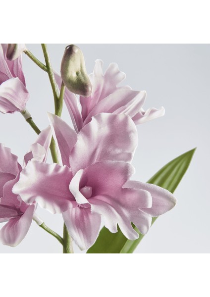 Yapay Bitki, Pembe, 12 Cm, Noble Dendrobium Pembe