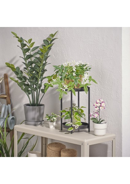 Yapay Bitki, Pembe, 12 Cm, Noble Dendrobium Pembe