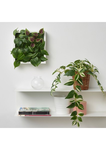 Yapay Bitki, Yeşil, 12 Cm, Telgraf Çiçeği, Iç/dış Mekan