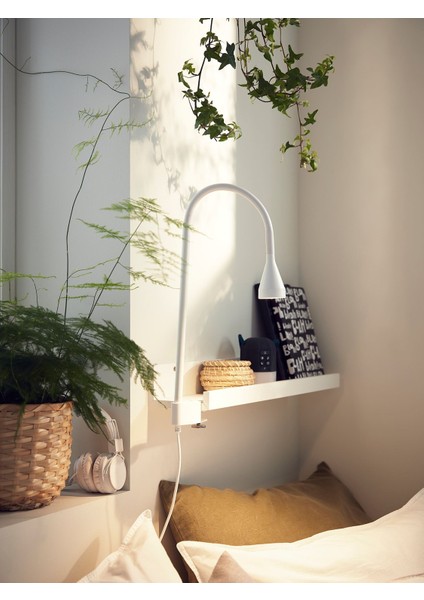 Çalışma Lambası, Beyaz