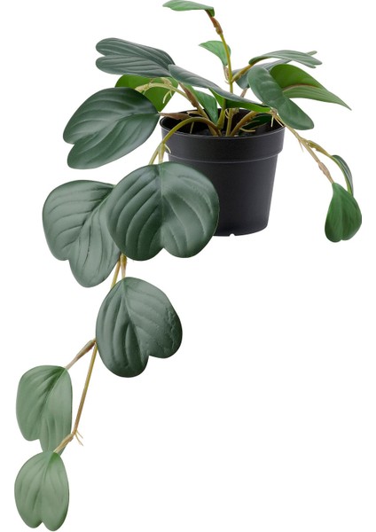 Yapay Bitki, Yeşil, 9 Cm, Iç/dış Mekan