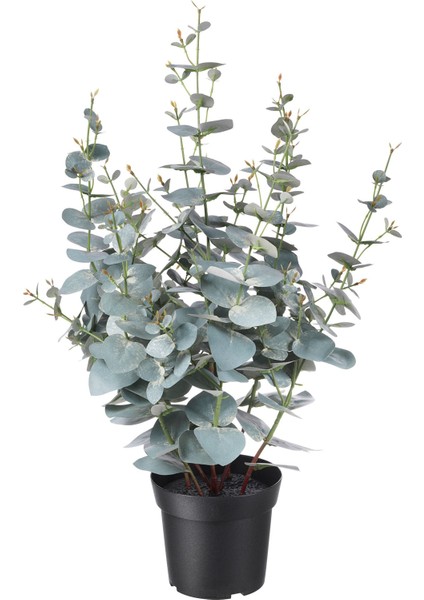 Yapay Bitki, Yeşil, 15 Cm, Okaliptüs, Iç/dış Mekan