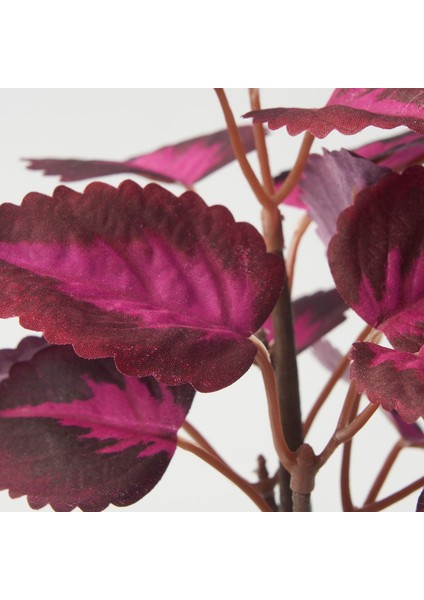 Yapay Bitki, Pembe, 9 Cm, Kadife Çiçeği-Kırmızı