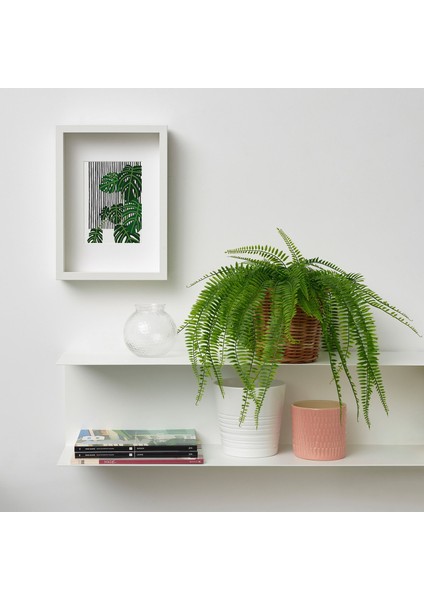 Yapay Bitki, Yeşil, 12 Cm, Eğriltiotu, Iç/dış Mekan