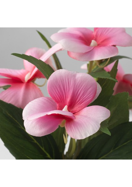 Yapay Bitki, Pembe, 9 Cm, Balsam, Iç/dış Mekan