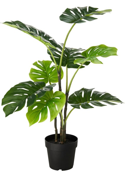 Yapay Bitki, Yeşil, 19 Cm, Monstera