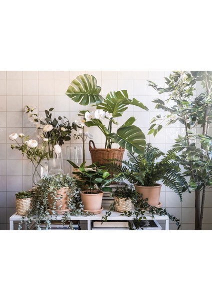 Yapay Bitki, Yeşil, 19 Cm, Monstera