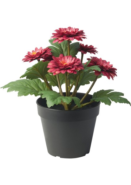 Yapay Bitki, Pembe-Yeşil, 12 Cm, Krizantem