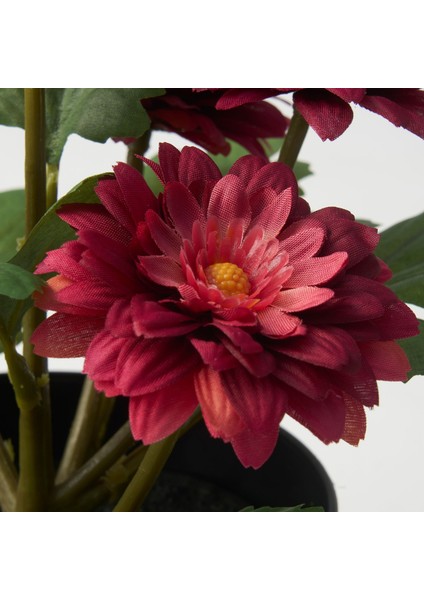 Yapay Bitki, Pembe-Yeşil, 12 Cm, Krizantem