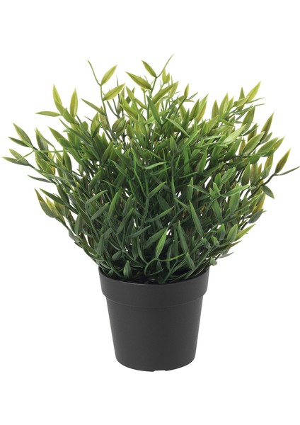 Yapay Bitki, Yeşil, 9 Cm, Ev Bambusu