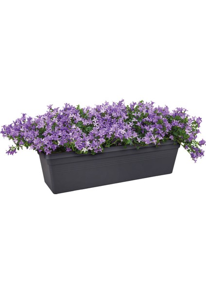 Elho Green Basics Balkon Saksısı Siyah 40 cm fiyatları