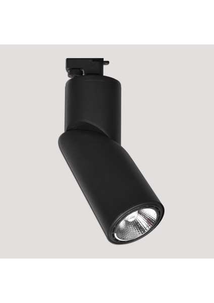 Dlc Ray Serisi NR150-2 50 W Ledli E27 Duy Yuvarlak Ray Spot 1 Adet Siyah
