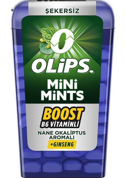 Mini Mints Nane Okaliptus 12.5 G