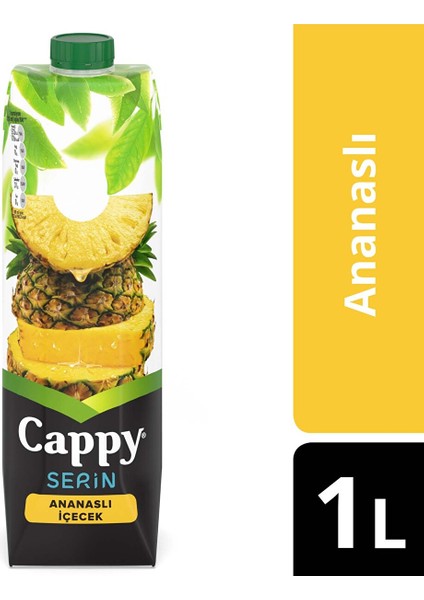 Ananas Tetra Paket 1 Litre