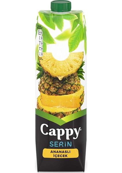 Ananas Tetra Paket 1 Litre