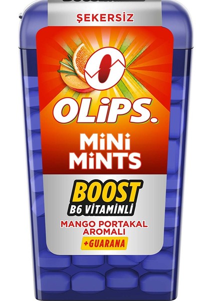 Mini Mints Mango 12.5 G