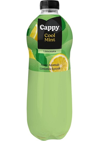 Naneli Limonata 1 L